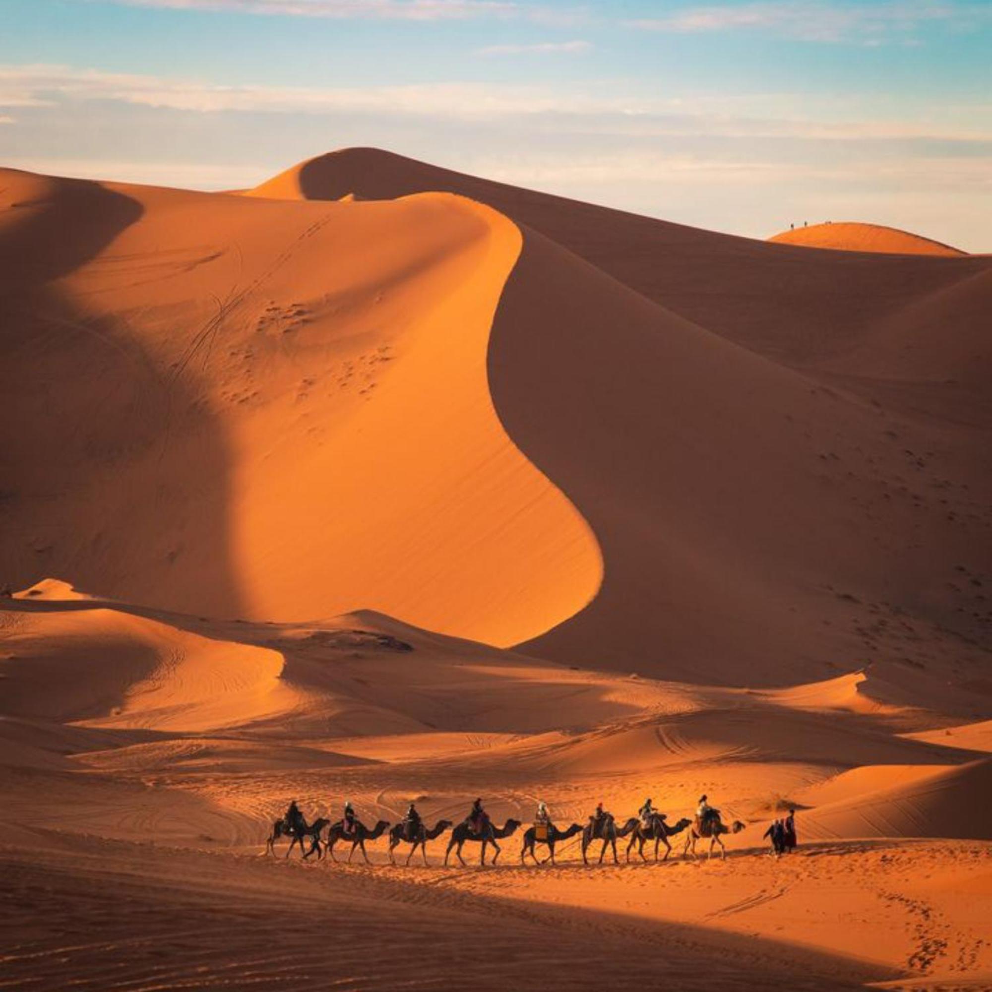 Luxury Desert Camp Campsite 5*