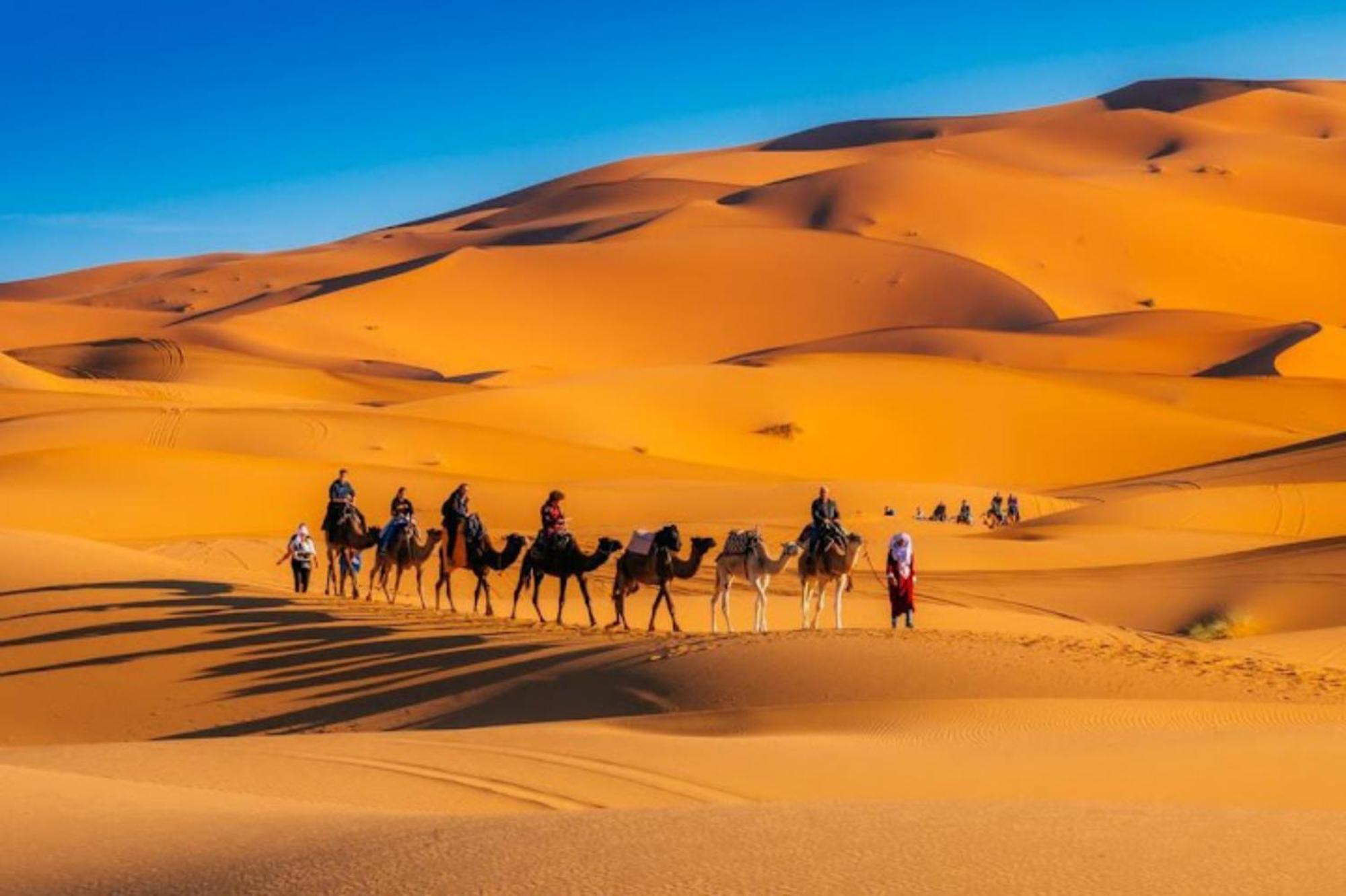 Campsite Luxury Desert Camp 5*